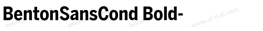 BentonSansCond Bold字体转换